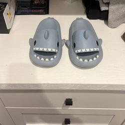 Shark Slides