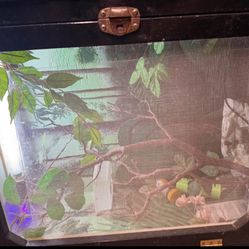 Reptile Snake Chameleon Lizard Terrarium Cage 31” W x 13.5” D x 25” H Lighted w Plants + 29” H Legs