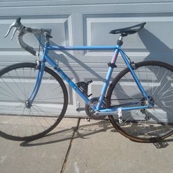 TREK 1100