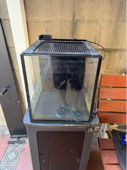 Nuvo 10 Gallon Tank AIO  with stand