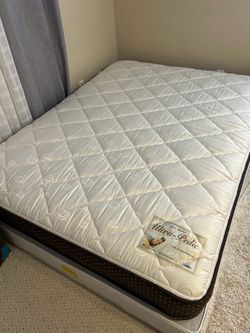 Queen size Ultra-Pedic Mattress and Box spring.  Good Condition