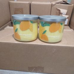 Distant Lands By JCP 3 Wick Candles