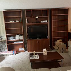Dania Entertainment Unit