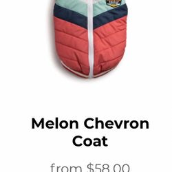 Assorted Dog Clothing 
