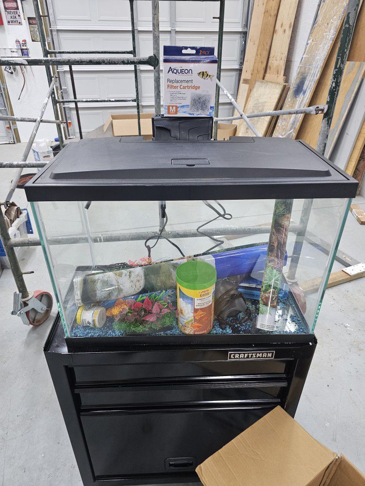 20 Gallon Tank With Supplies