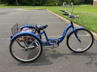Schwinn Meridian Adult Tricycle with Basket, 24 Inch Wheels, Single Speed, Ages 14+, Slate Blue