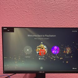 Asus Monitor