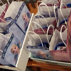 Frozen Birthday Bags 