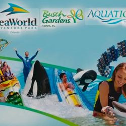 Seaworld Tickets