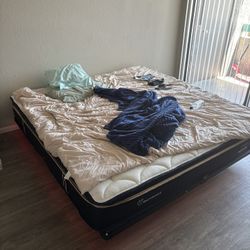 Quick Sale Moving Tomorrow 