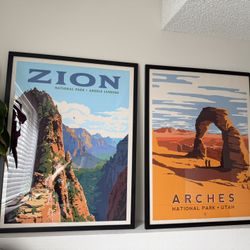 30x25” Framed Posters 