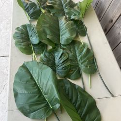 Fake Leaves, Monstera, Birds Of Paradise, Palm