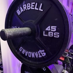 Weight Plates - 45 Pair
