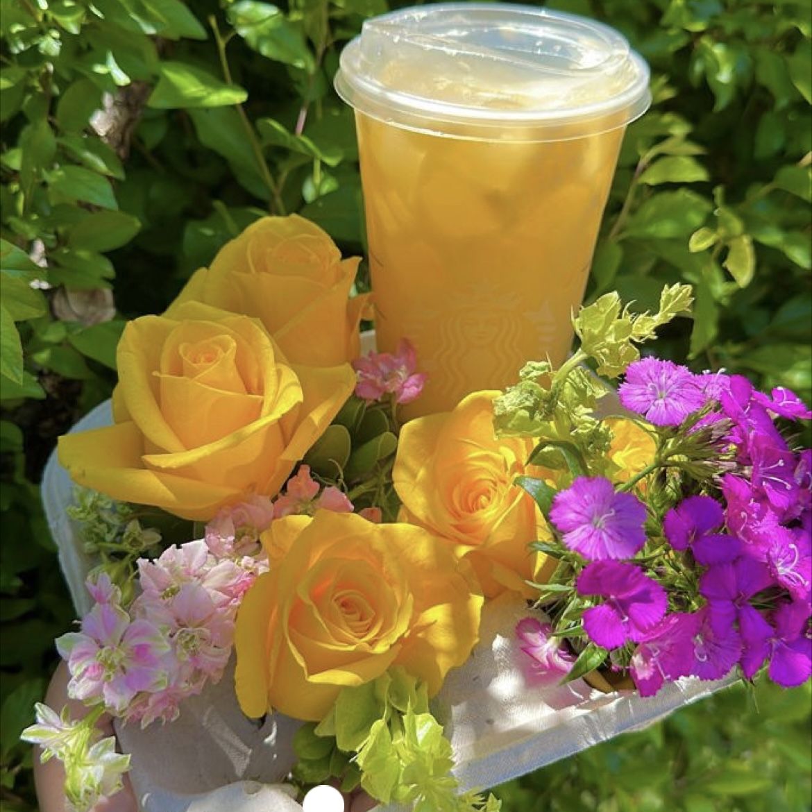 Starbucks Flower Arrangements