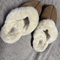 Disquette Uggs