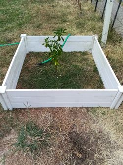 Two planters