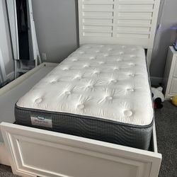Twin Trundle Bed With Two Mattresses