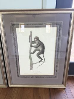 Set Of Two Art Prints