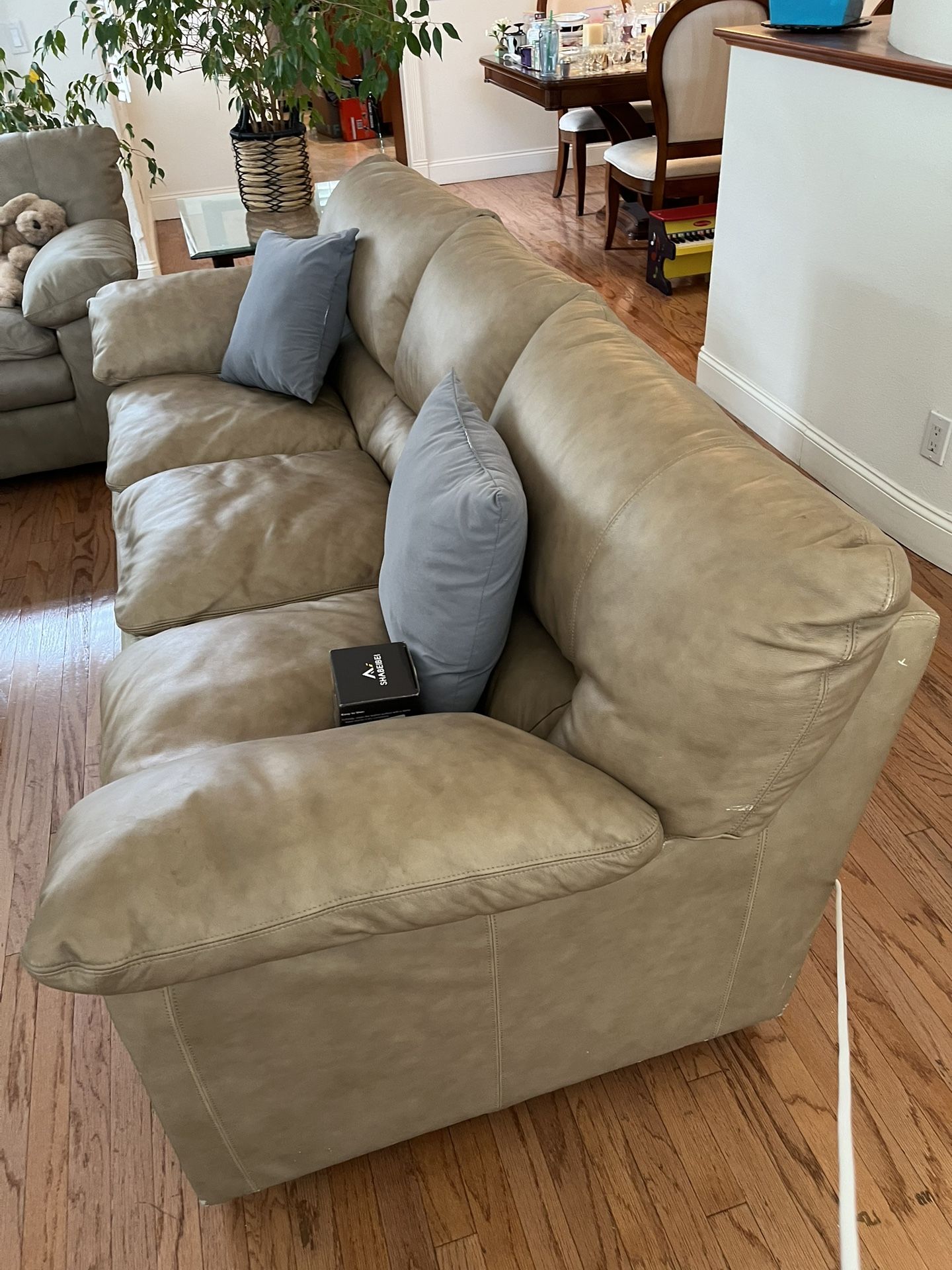 Leather Couch 