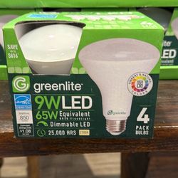Greenlite Floodlight Bulbs 