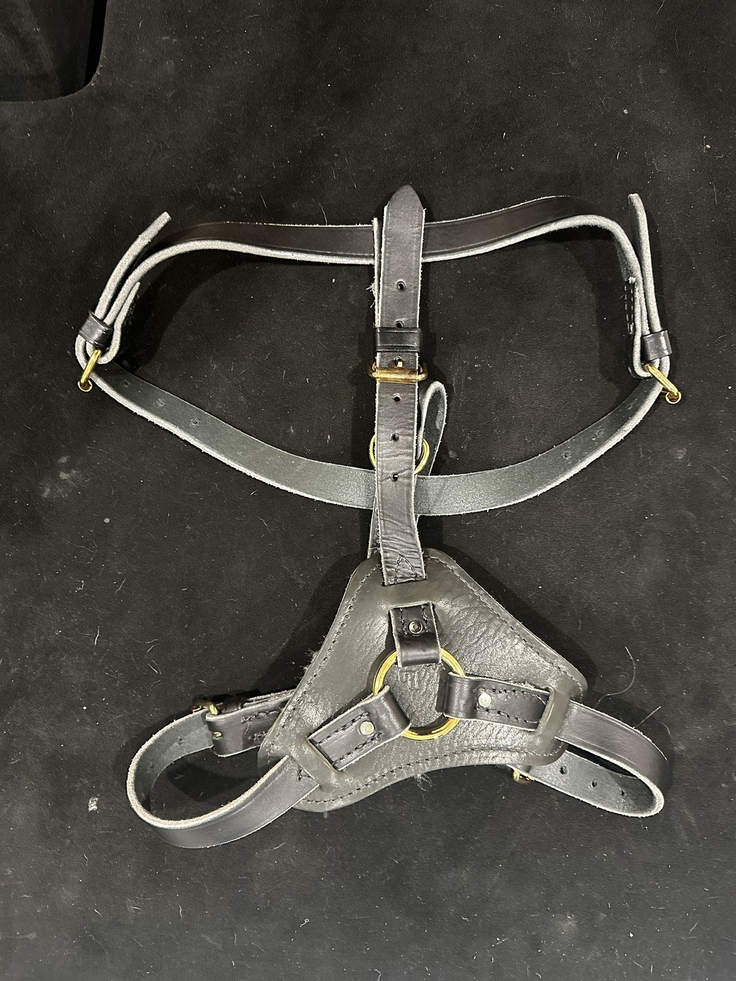 Cane Corso Equipment Collar Xxl Available 