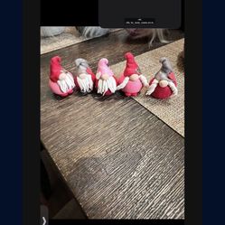 Valentine Gnomes 