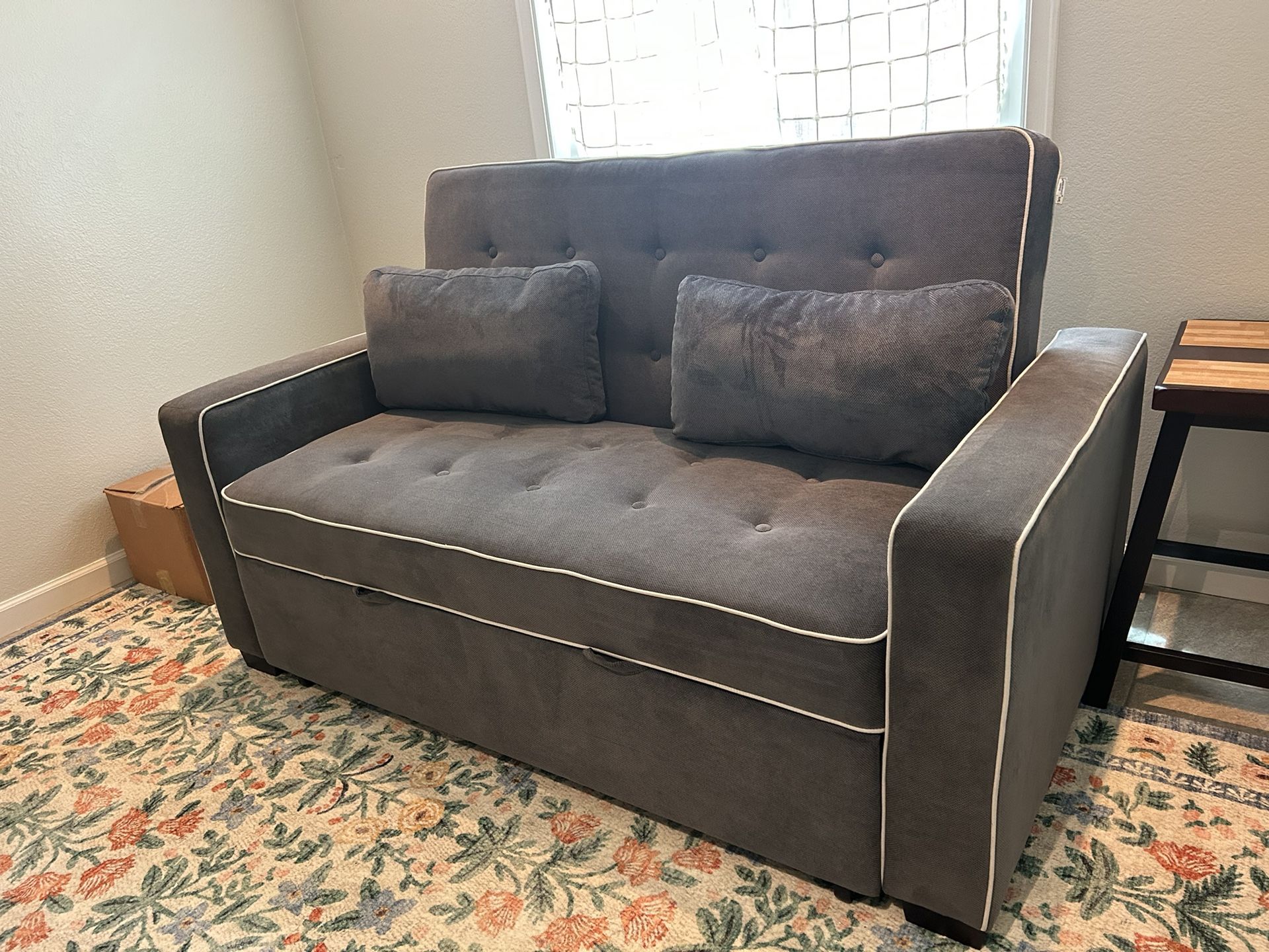 Serta Sleeper Sofa - Mint Condition