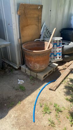 Pot