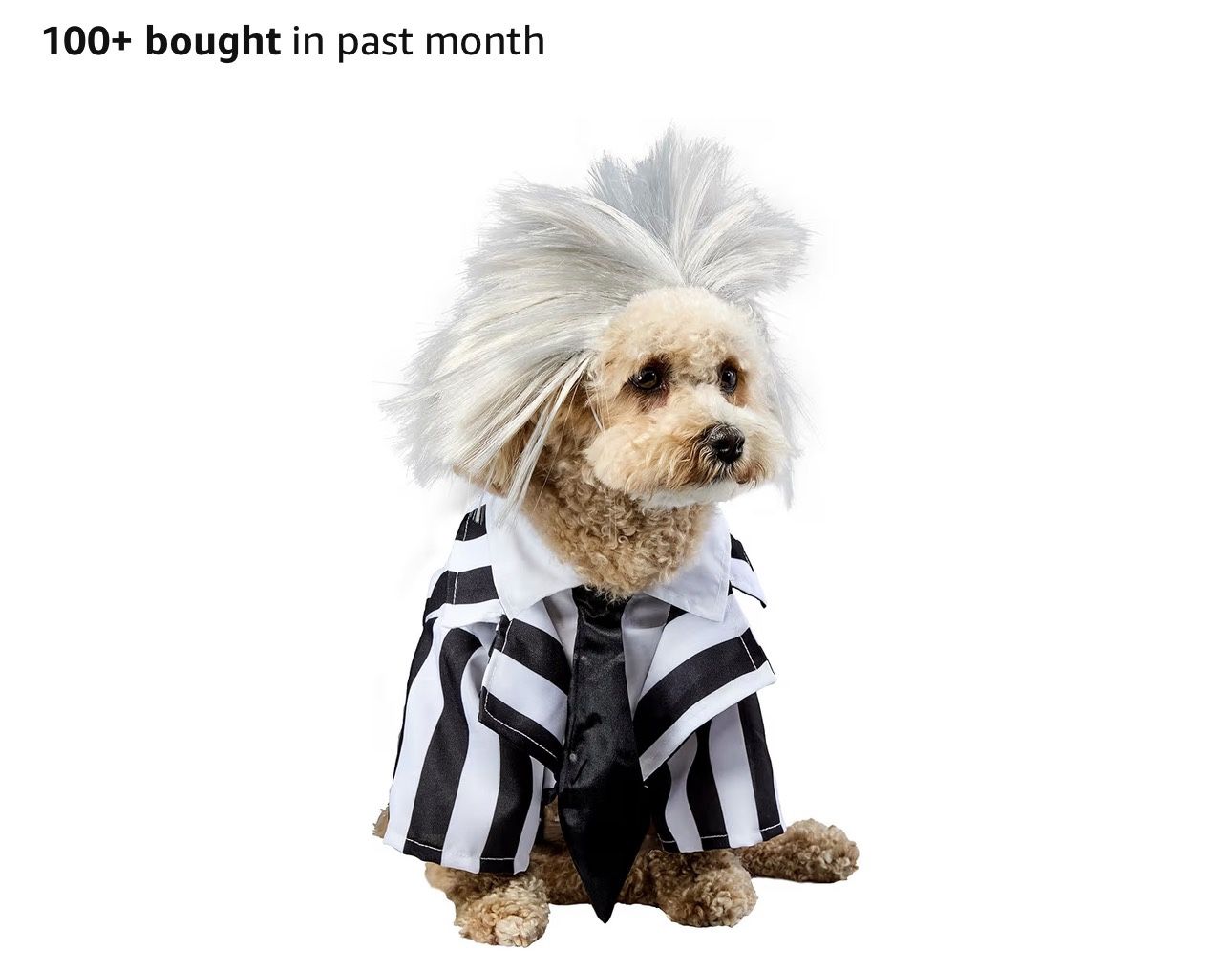 Dog Halloween Costume (medium) 