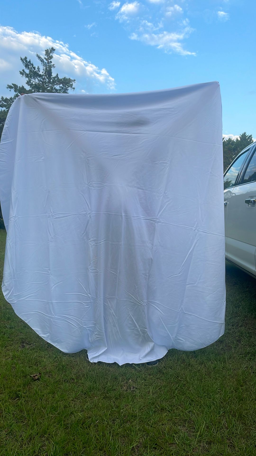 84 Inch Table Cloths  Round Pk Of 10