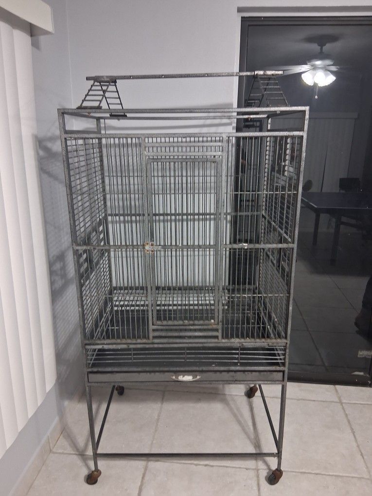 Bird Cage