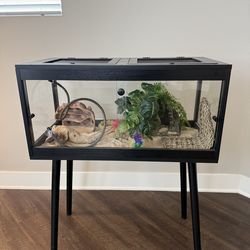 Reptile Tank + Full Setup – 28 Gallon – Like New
