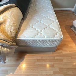 Full Size Mattress Plus Box Spring