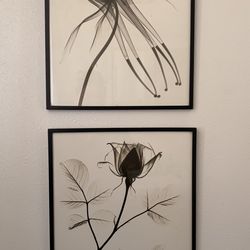 San Francisco original art vintage