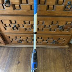 NEW 2025 DeMarini CF USA Baseball Bat - 29/19 (-10)