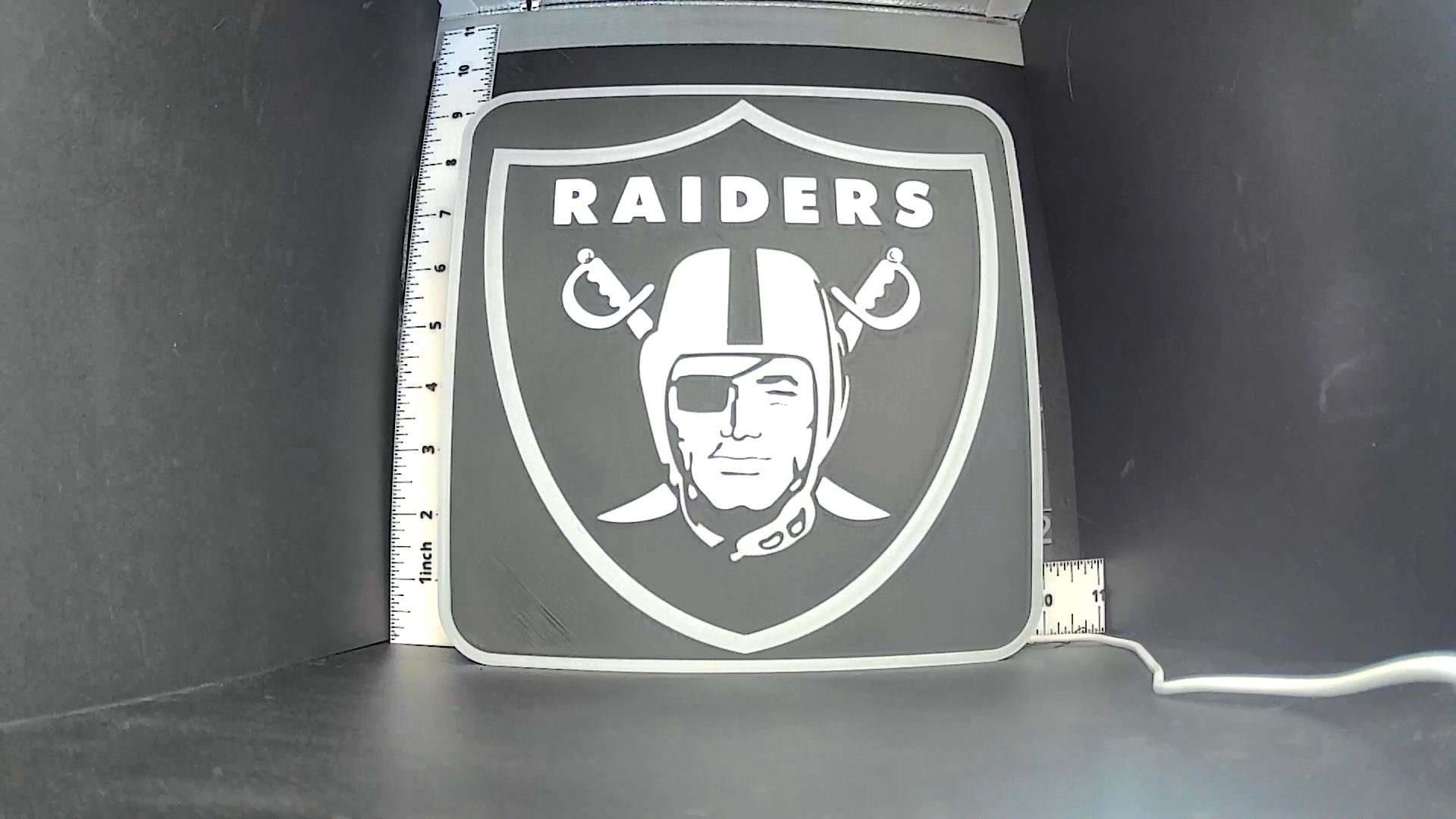 Las Vegas Raiders Lightbox
