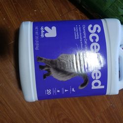 Cat Litter 