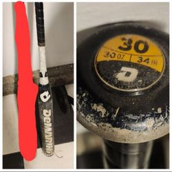 Softball Bats Demarini Easton