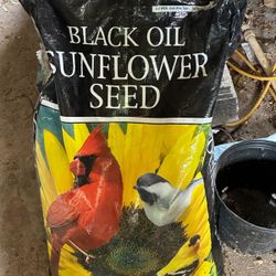 Bird Feed, Sunflower Seeds.