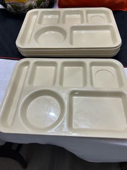 Hard Plastic Trays (8)