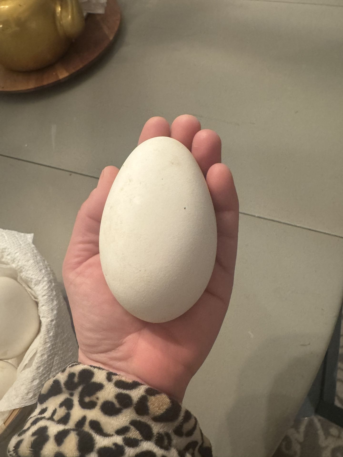 Goose Eggs
