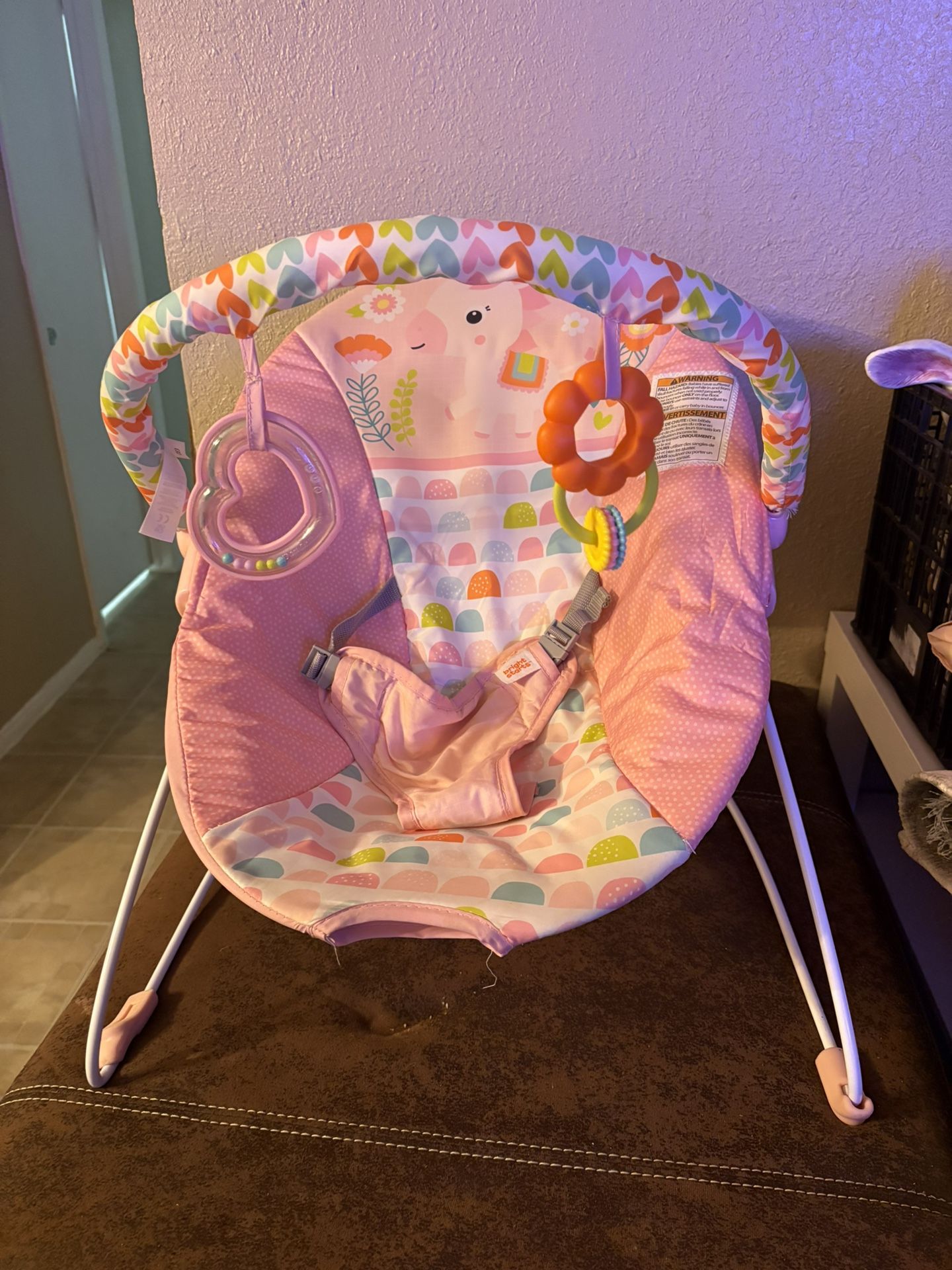 Baby Girl Bouncer Chair