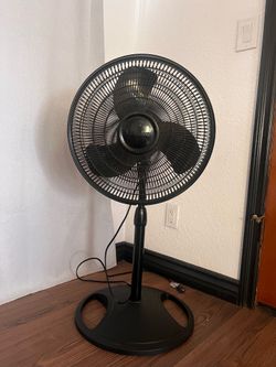 Fan