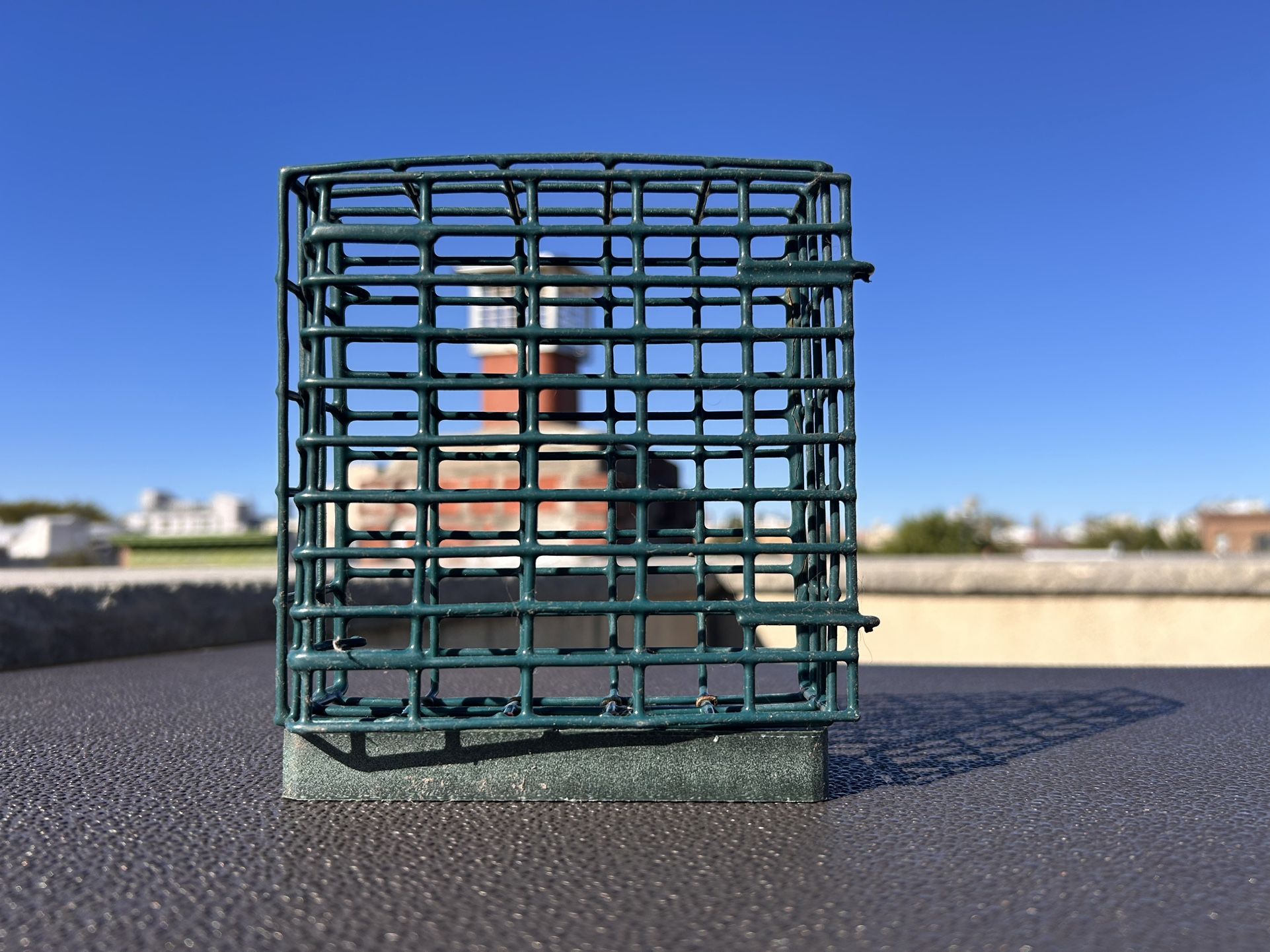 Kettle Moraine Window Mount Single Suet Cake Woodpecker Bird Feeder