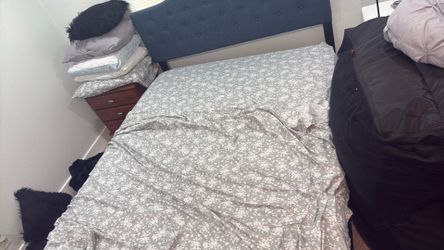 Queen Bed Frame with Tufted navy blue head