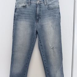 Joe’s Skinny Jeans 28 Blue Women’s