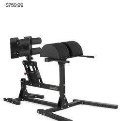 Glute And Hamstring Developer 