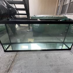 120 Gallon Aquarium Mint