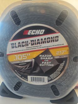 Echo