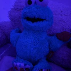 Cookie monster stuff animal